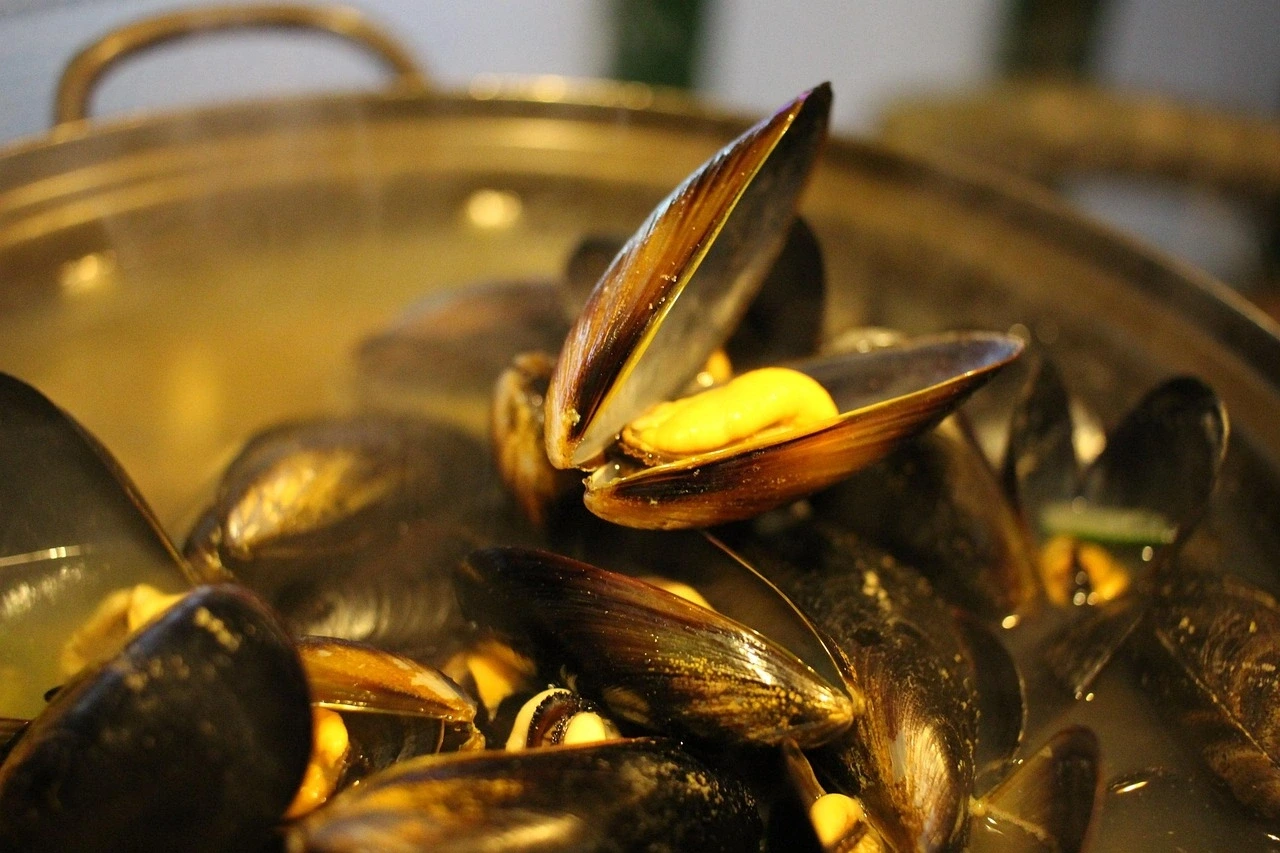 Soirée moules frites