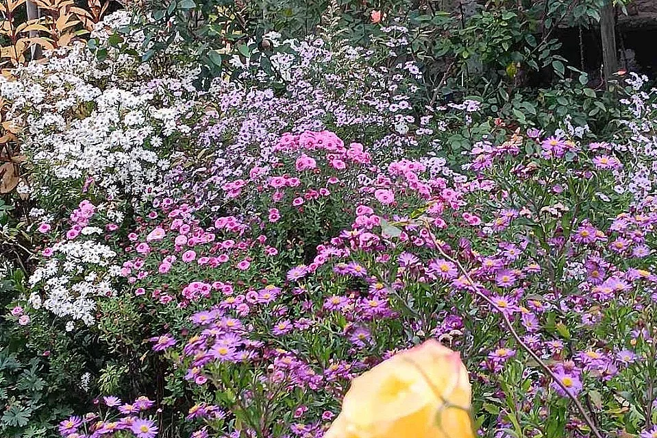 Démonstration de filage du verre au jardin personnel d'André Eve