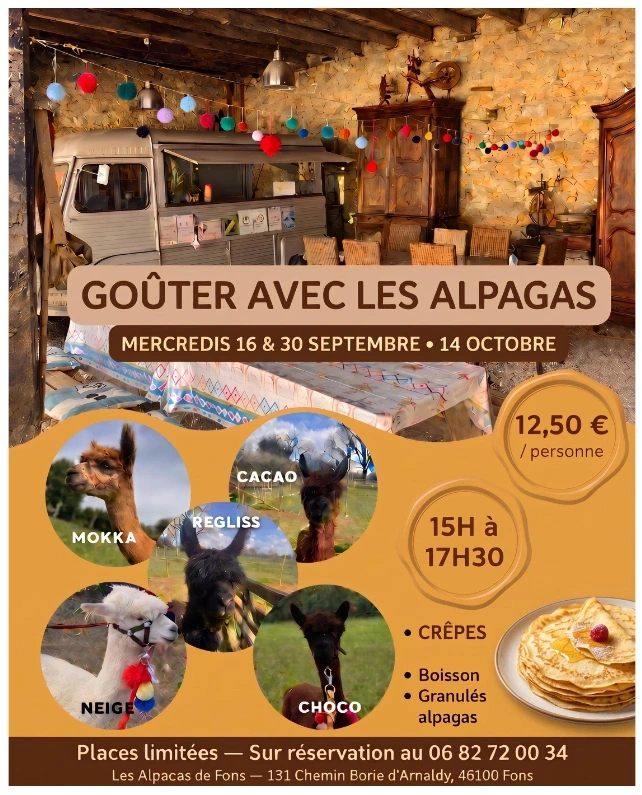 Goûter avec les alpagas à Fons