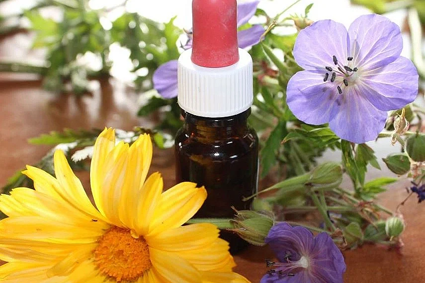 Atelier  Élixirs Floraux & Vitalité
