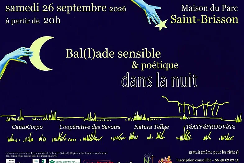 Bal(l)ade sensible & poétique dans la nuit