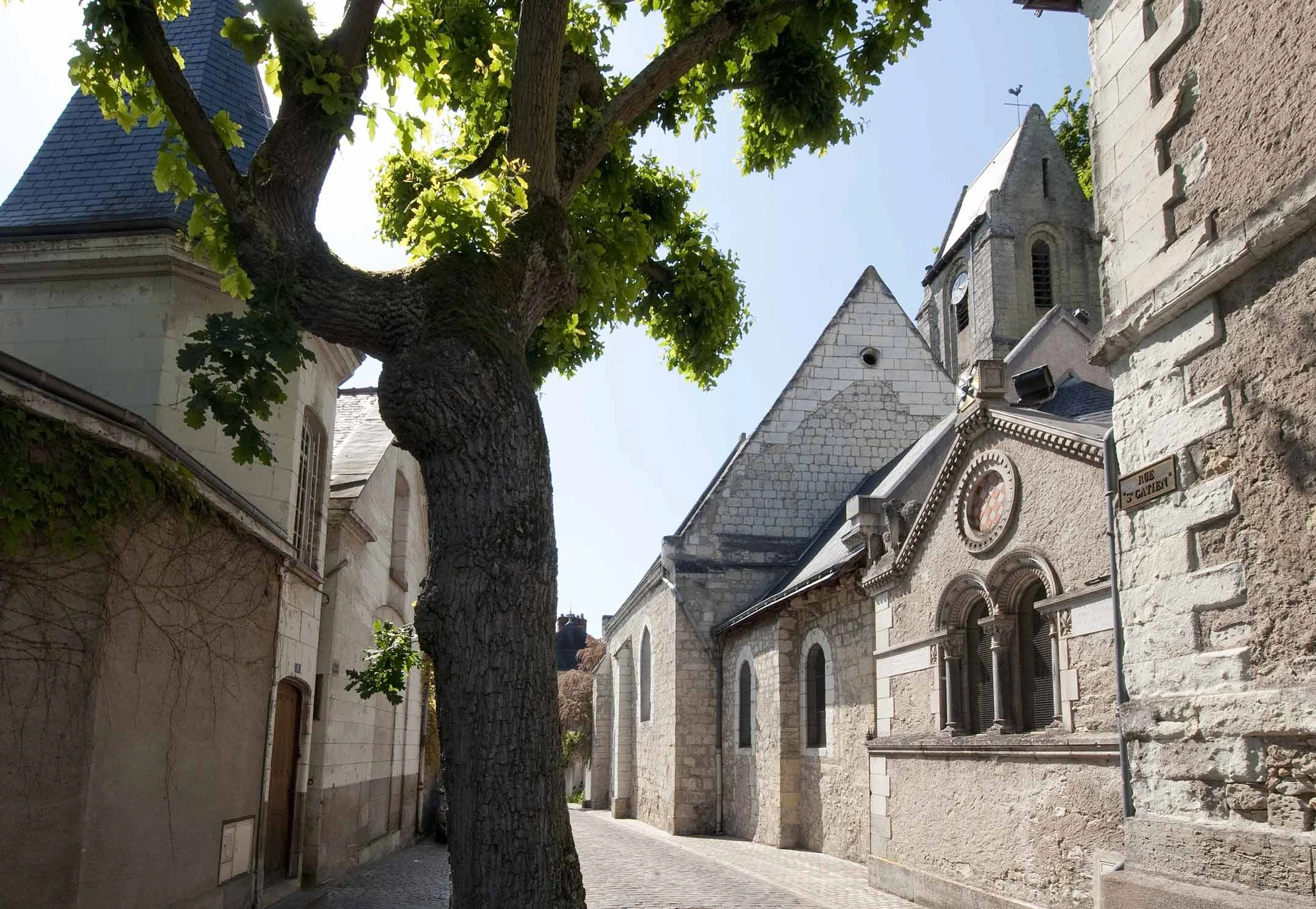 Visite guidée : Le quartier Sainte-Radegonde