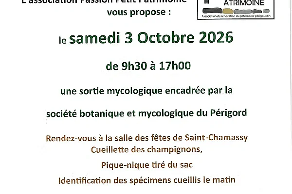 Sortie mycologique