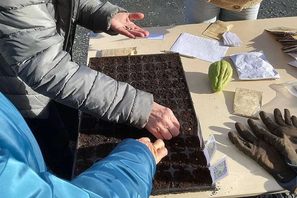 Atelier au potager en permaculture : les semis de printemps