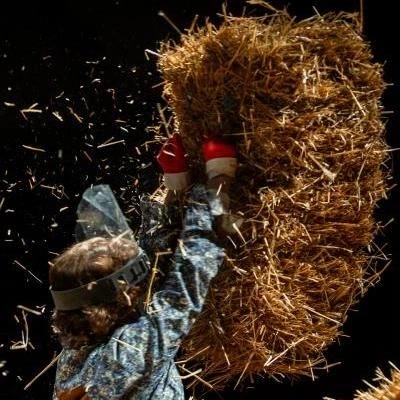 Spectacle : Le mariage forcé (Molière)