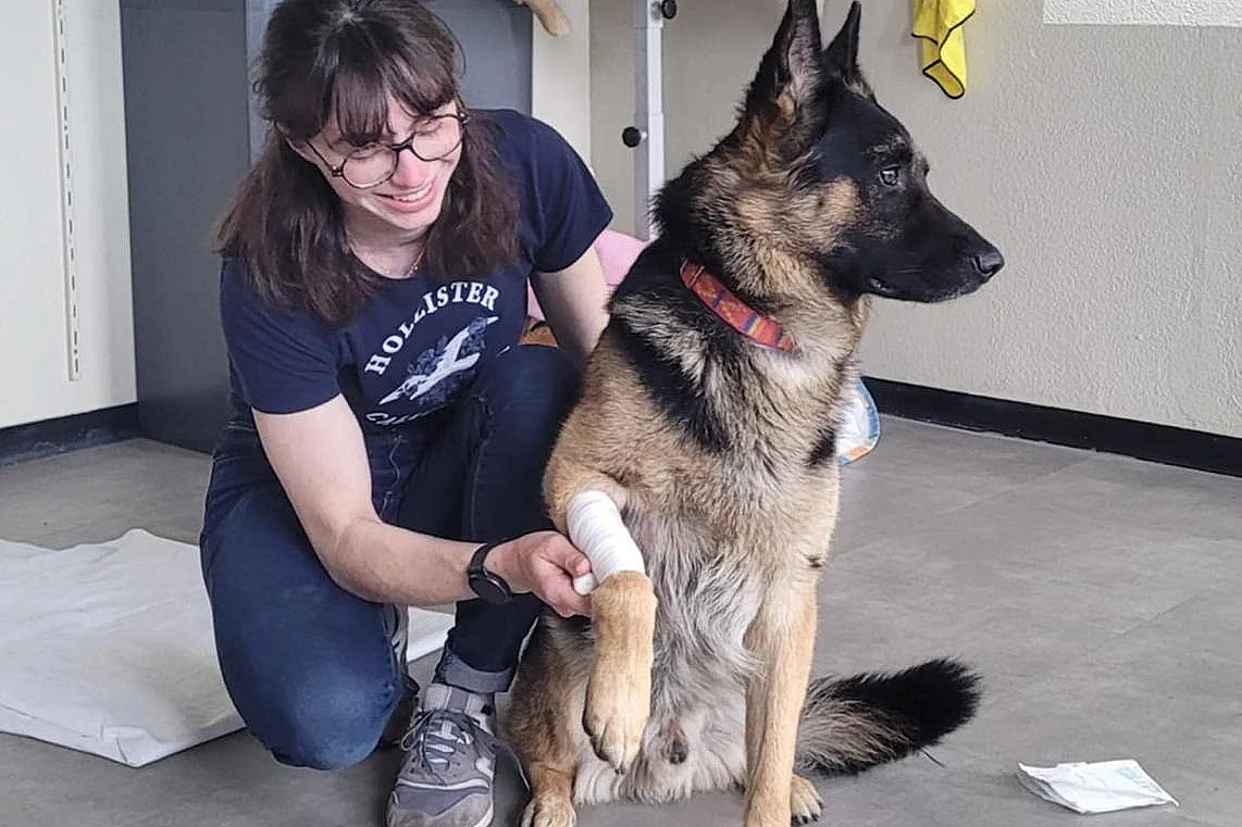Formation aux premiers secours canins et félins