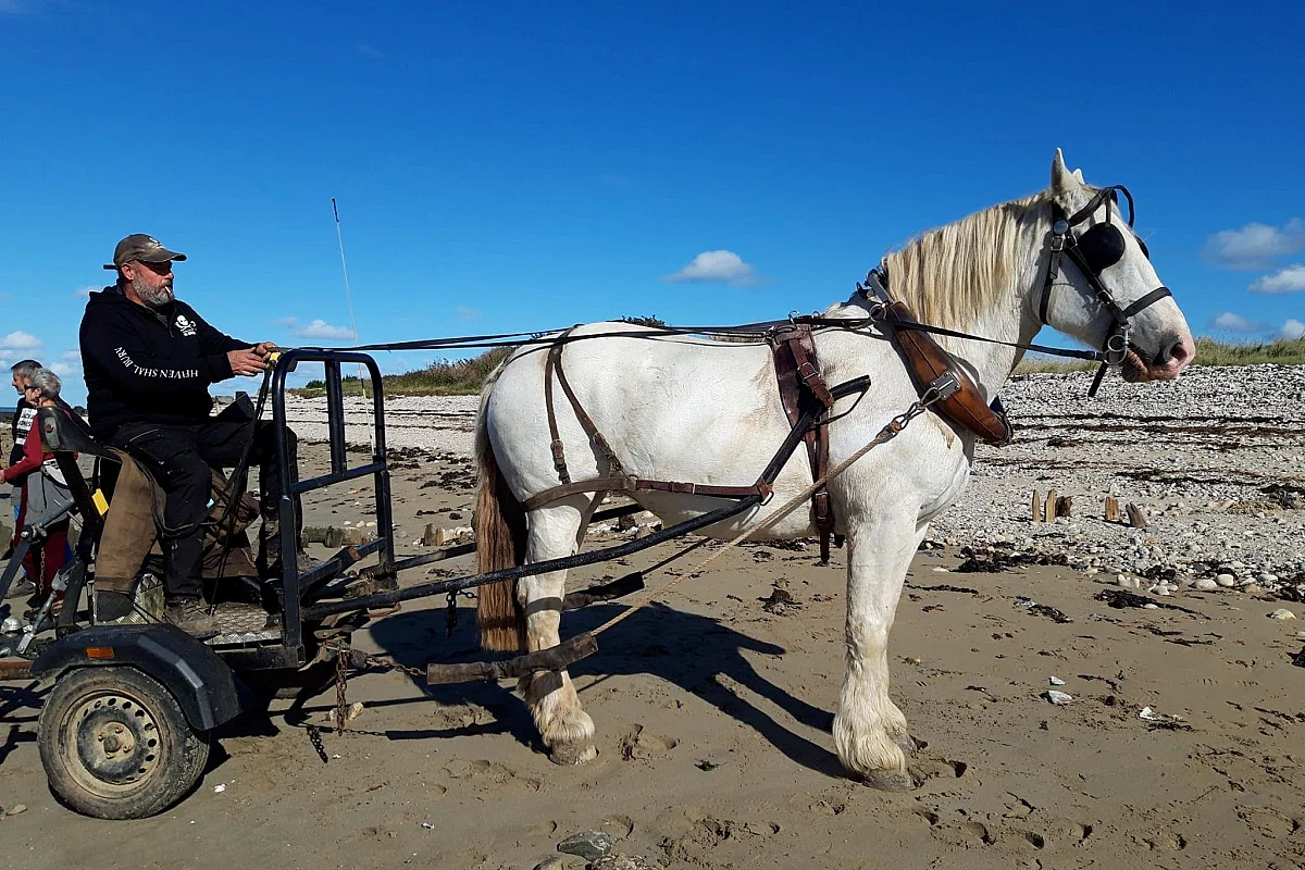 Opération "ramassage de déchets en Baie des Veys"