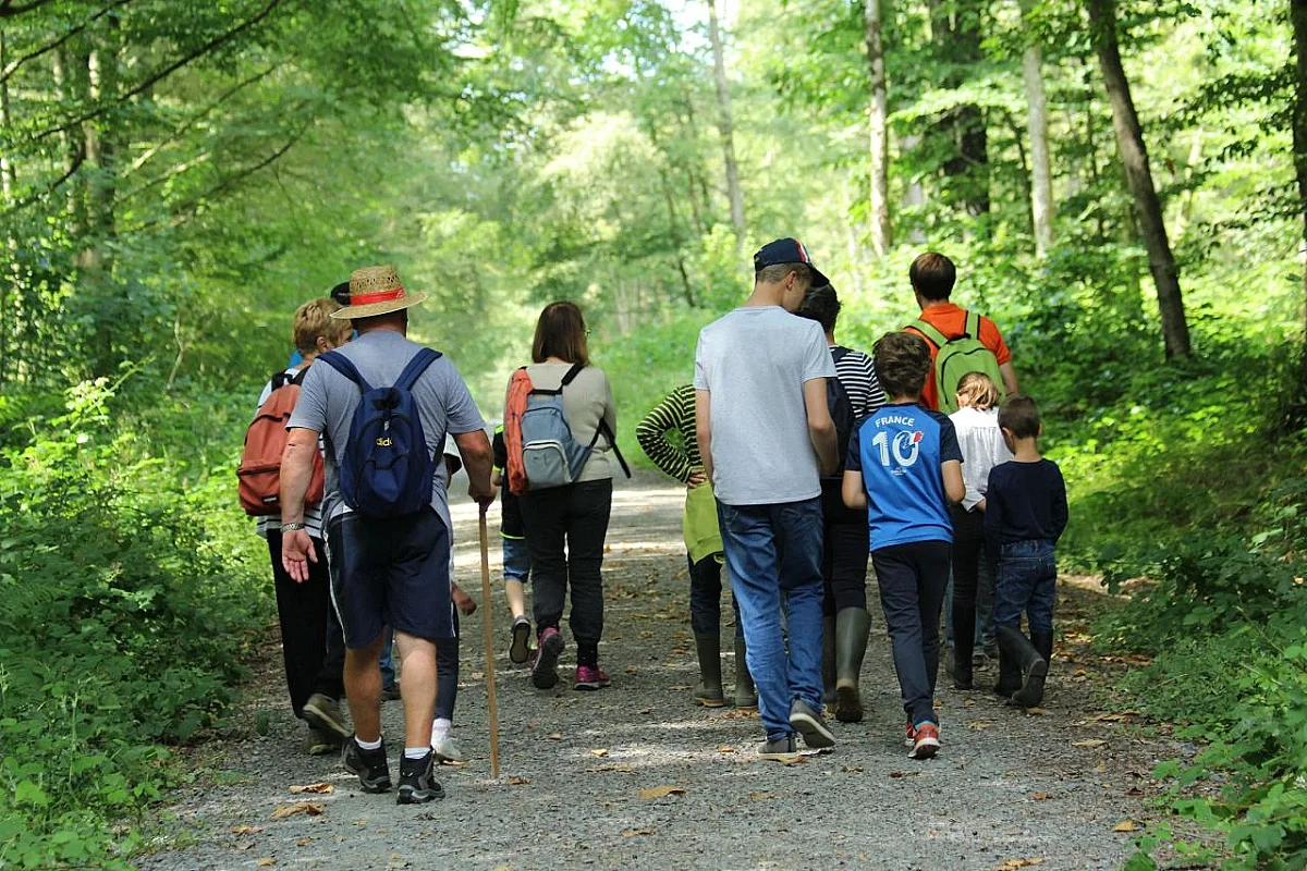 Sortie nature “Sur les traces des canidés de France ”