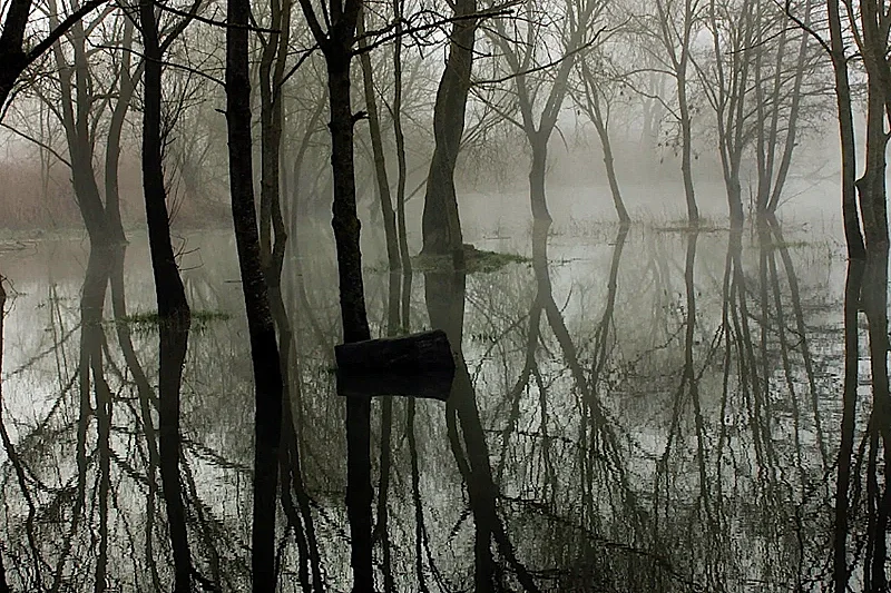 Cité des paysages - Moselle sauvage