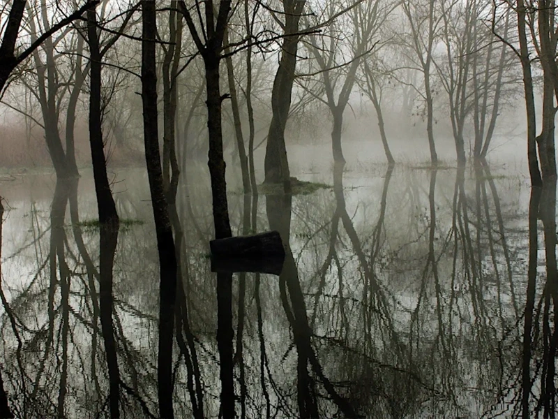 Cité des paysages - Moselle sauvage