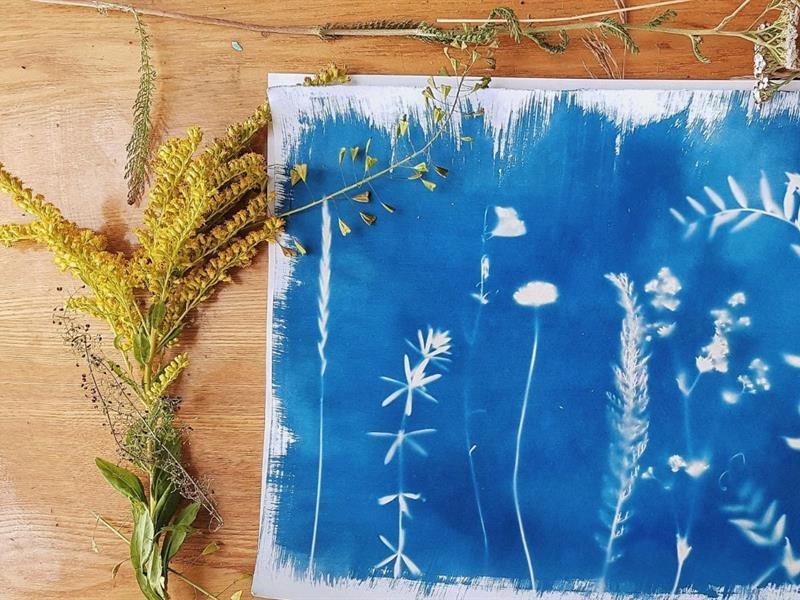 Atelier découverte du cyanotype