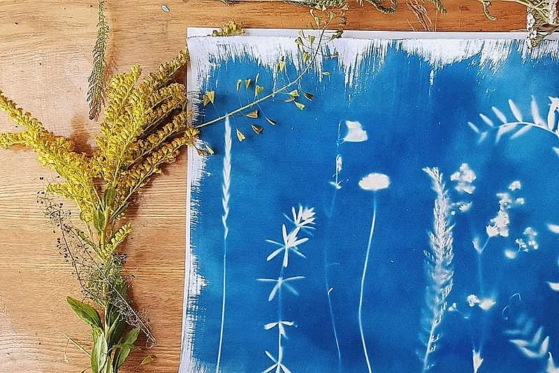 Atelier découverte du cyanotype