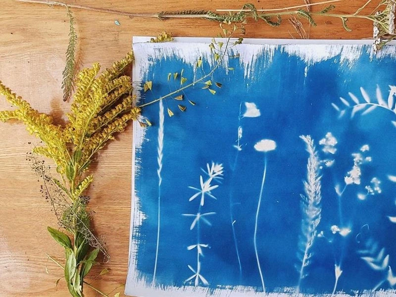 Atelier découverte du cyanotype