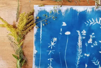 Atelier découverte du cyanotype