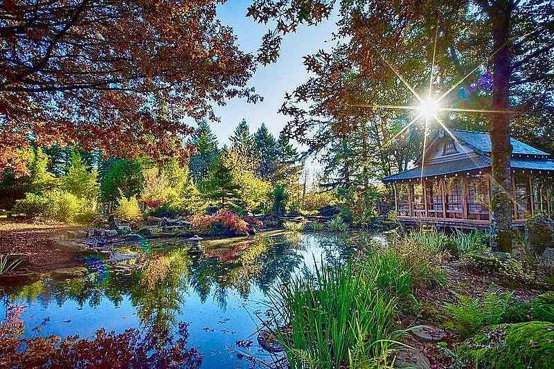 Journées Européennes du Patrimoine 2026 - Jardin japonais - COMPLET