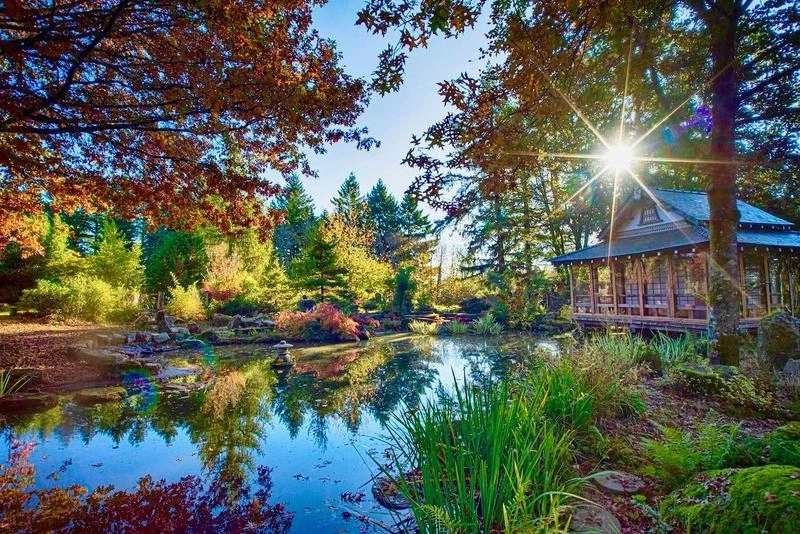 Journées Européennes du Patrimoine 2026 - Jardin japonais - COMPLET