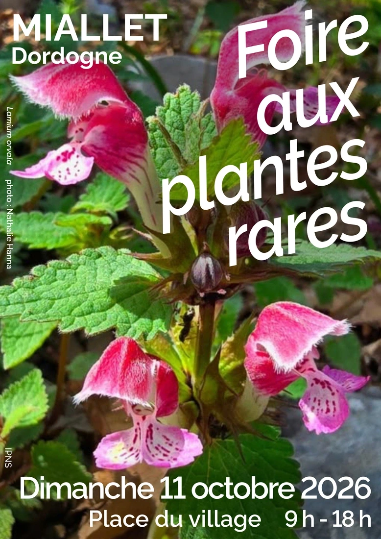 Foire aux plantes rares