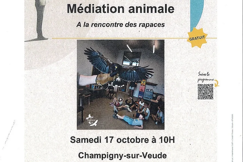 Médiation animale : A la rencontre des rapaces
