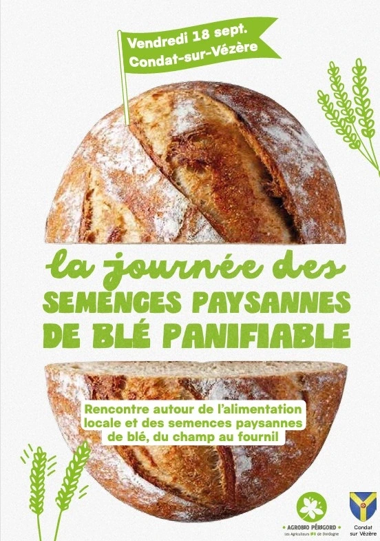 La journée des semances paysannes de BLE panifiable