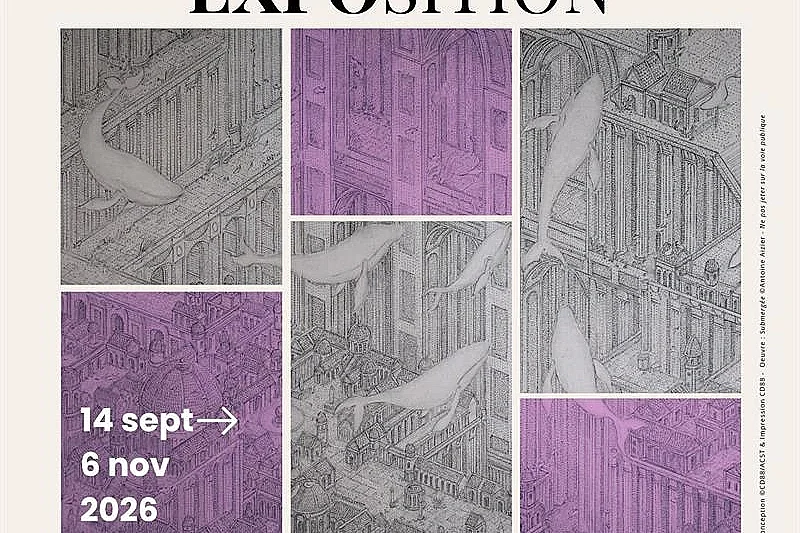 Exposition de l'artiste Antoine Aizier - Un Long Voyage