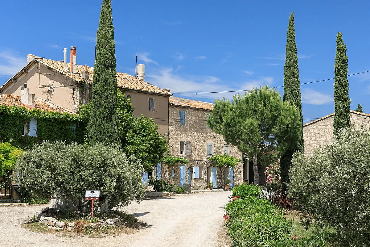 Vignobles en scène au Domaine de Suriane