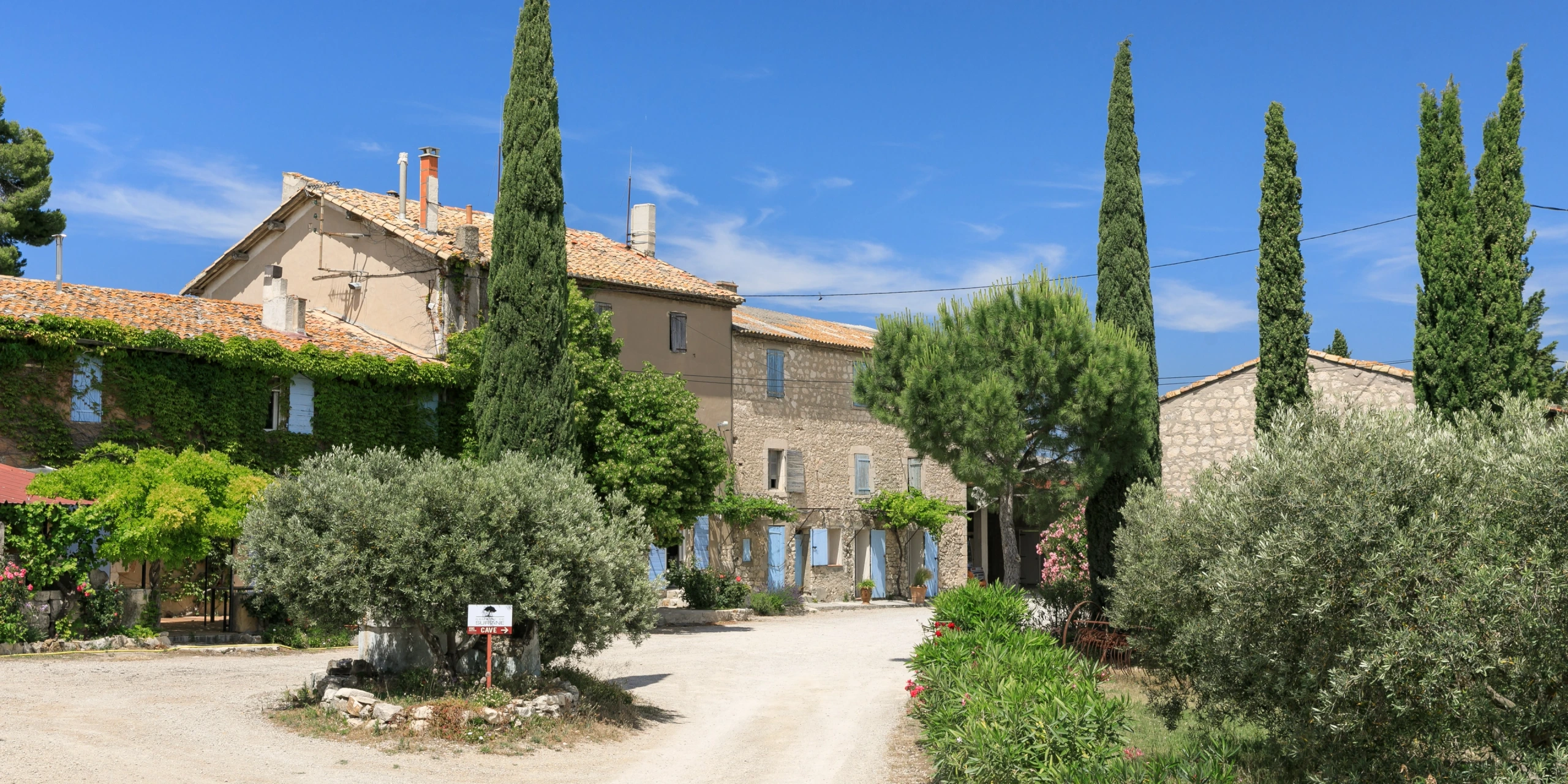 Vignobles en scène au Domaine de Suriane
