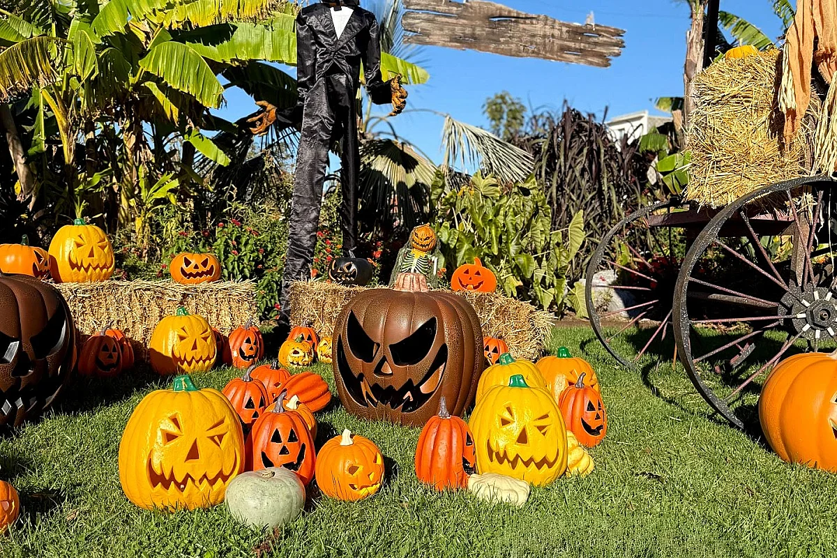 Halloween Biarritz