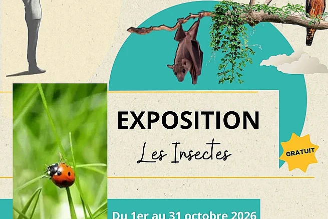 Exposition sur les insectes