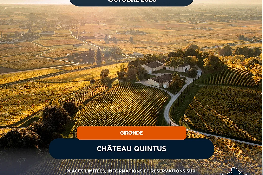 La nuit des châteaux - La Nuit de Quintus : À la rencontre du Dragon