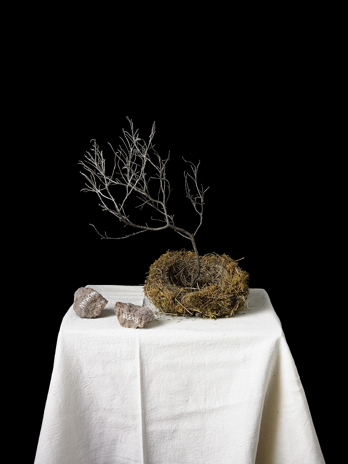 Sous les cendres de l'histoire – Exposition et ouverture de l'atelier de Natacha Nikouline, ça continue !