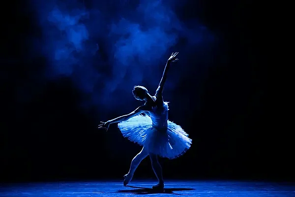 La Baleine : Danse " Secrets du ballet"
