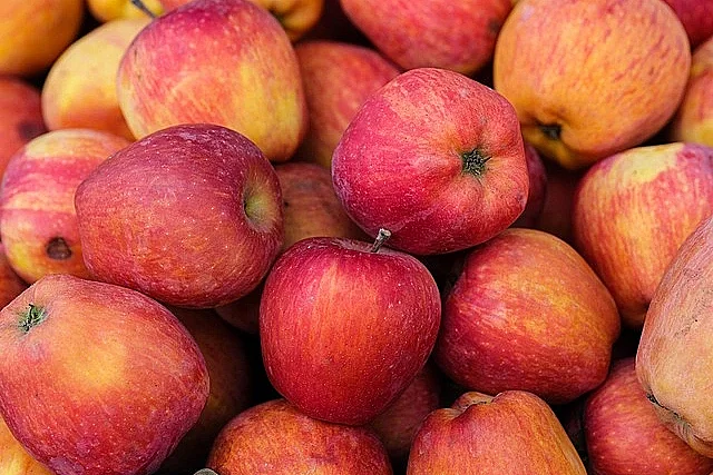 Fête de la Pomme