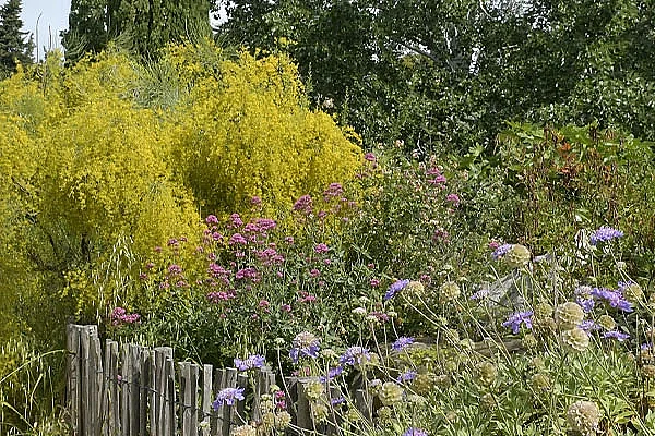 Sortie nature du Muséum - "Borély, jardin botanique et bords de l'Huveaune" (Marseille) - COMPLET