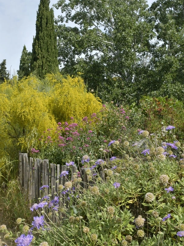 Sortie nature du Muséum - "Borély, jardin botanique et bords de l'Huveaune" (Marseille) - COMPLET