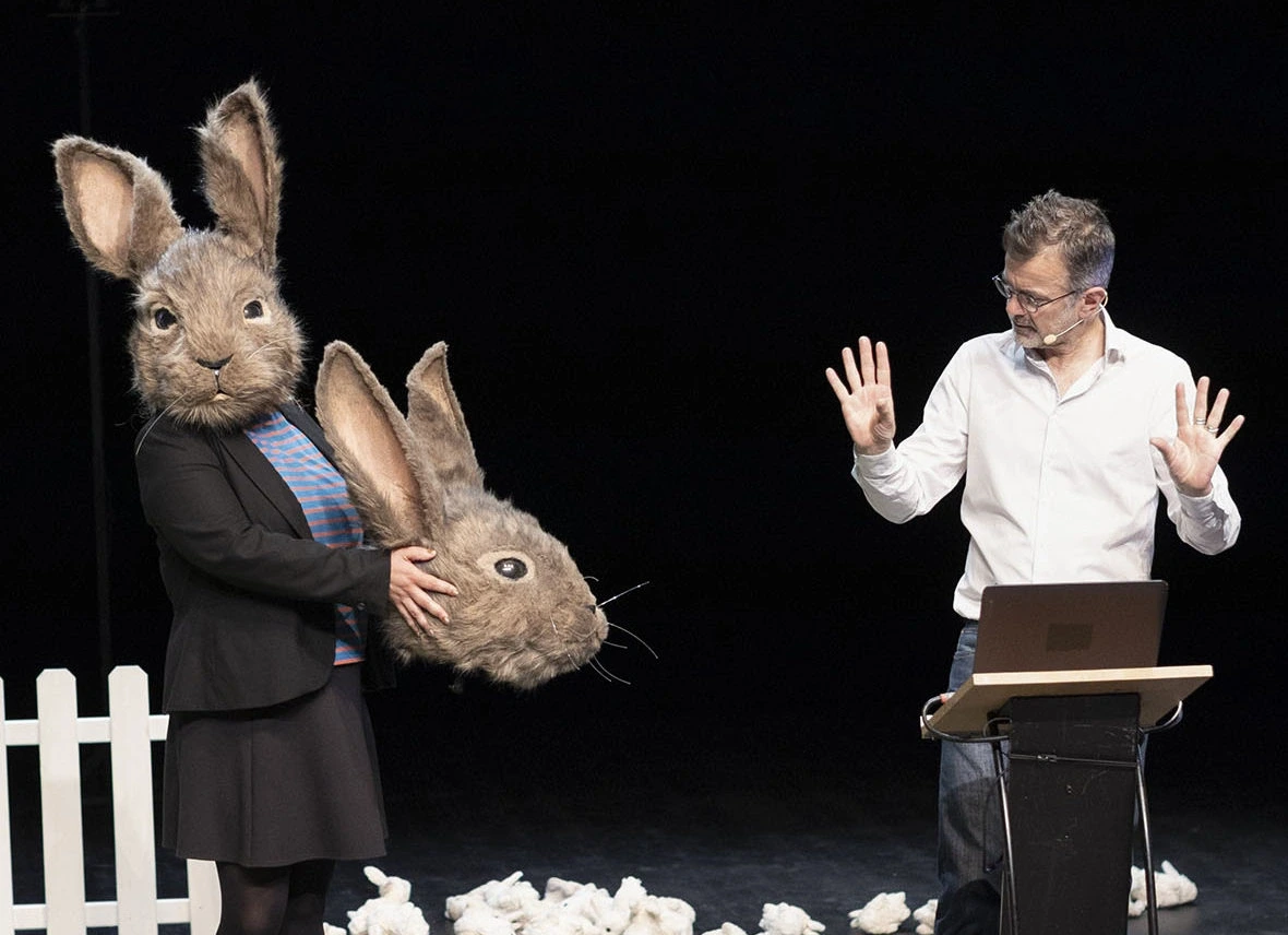 Festival contes givrés - Le problème lapin ; Cartographie 7