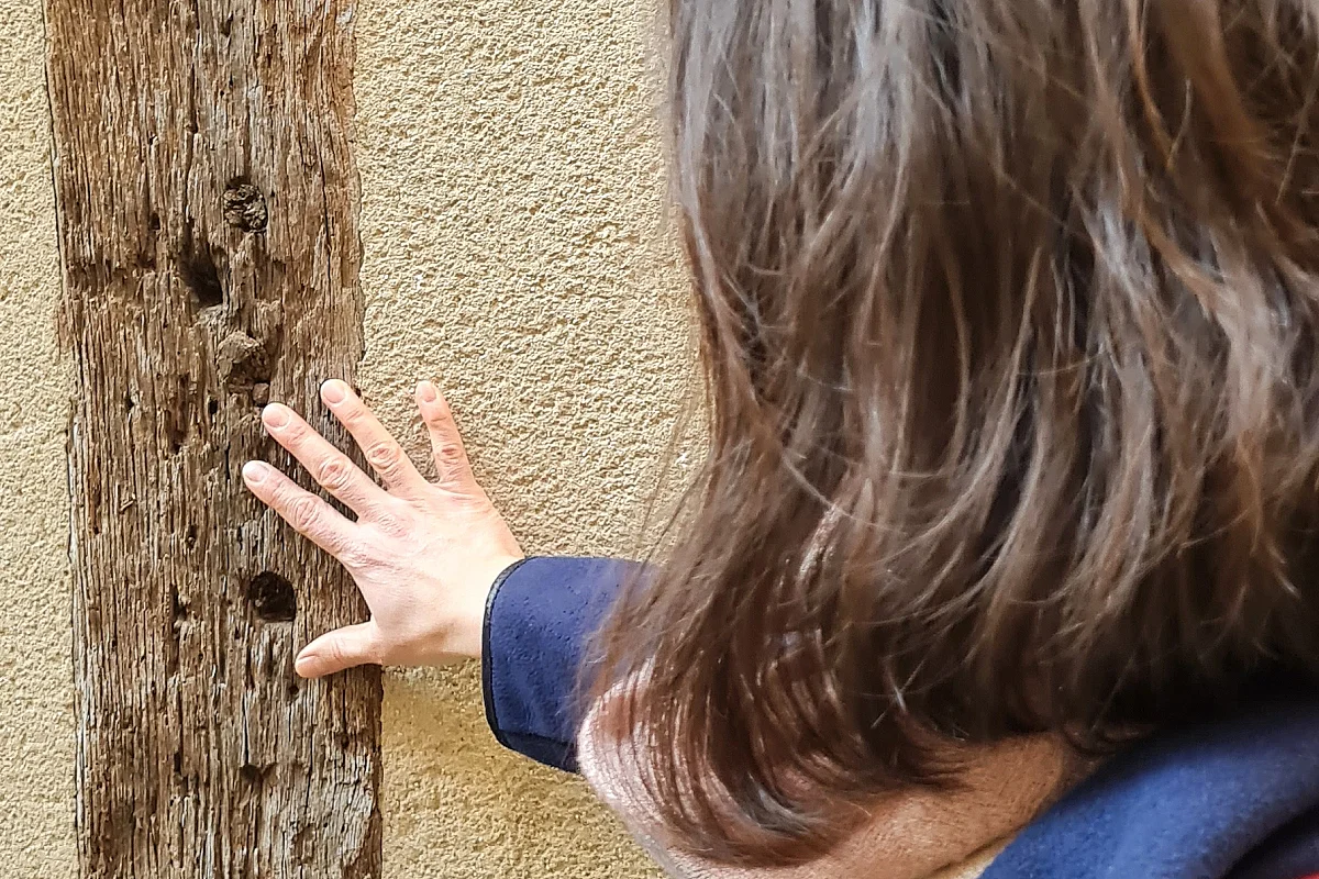 Journées Européennes du Patrimoine 2026 - La ville haute éveille vos sens ! - Limoges