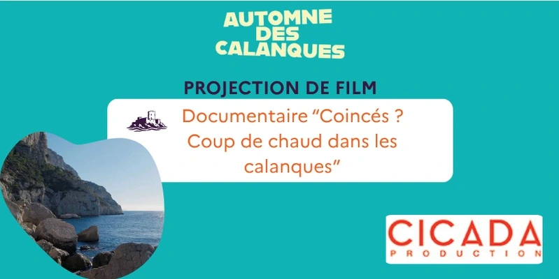 "Coincés ? Coup de chaud dans les calanques"