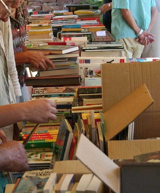 Bourse toutes collections de l'association "Train briviste corrézien"