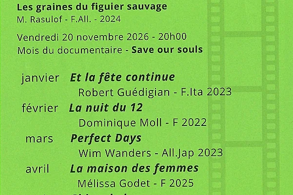 Cinéma - Les Graines du Figuier Sauvage