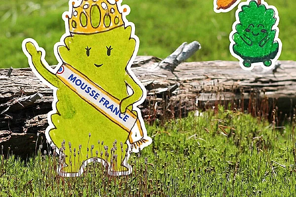 Conférence "Le monde immense des minuscules mousses"- Fête de la science