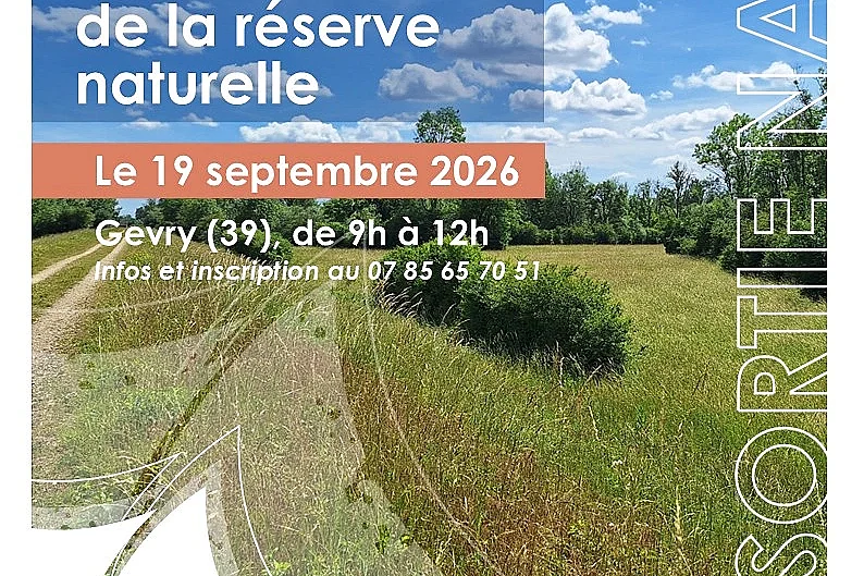 Découverte de la réserve