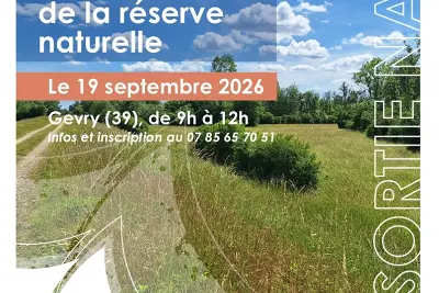 Découverte de la réserve