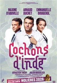 Cochons d'Inde