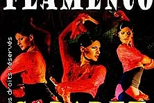 Cabaret Flamenco - Espace Culturel du Vieux Lyon