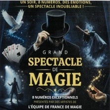 Grand Spectacle de Magie - Théâtre Bonlieu - Annecy