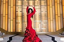 Noche de Arte Flamenco
