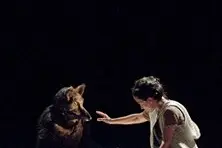 Le Petit Chaperon Rouge