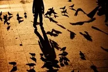 Le Petit Garçon avec une Ombre d’Oiseau