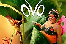 Ovo - Cirque du Soleil - Tournée