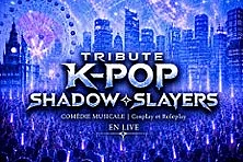 K-Pop Shadow Slayers - Tournée
